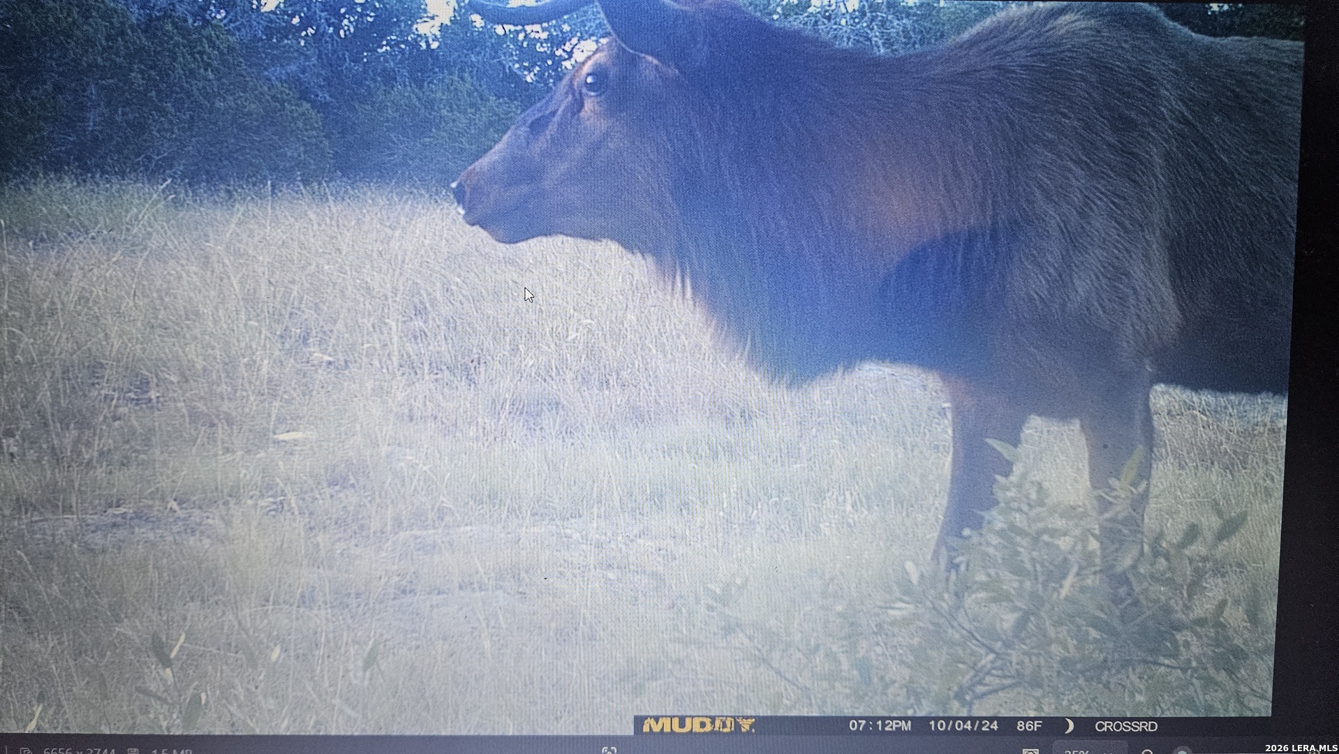 11695 County Road 350 Barksdale TX 78828