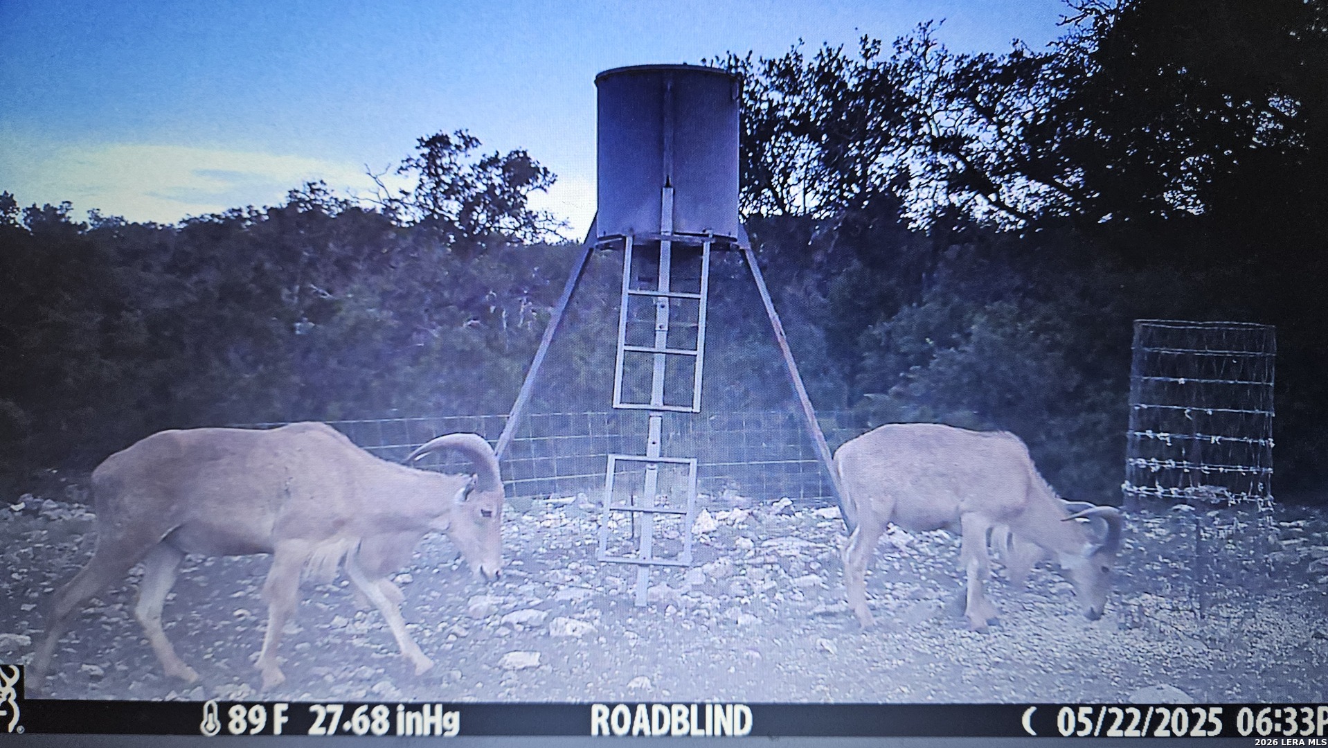 11695 County Road 350 Barksdale TX 78828