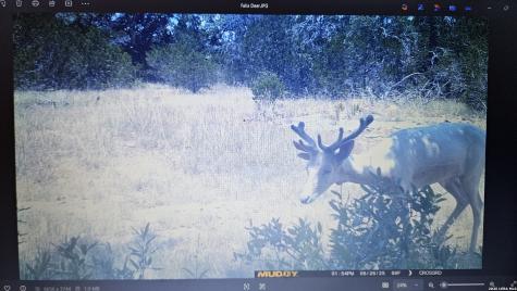 11695 County Road 350 Barksdale TX 78828