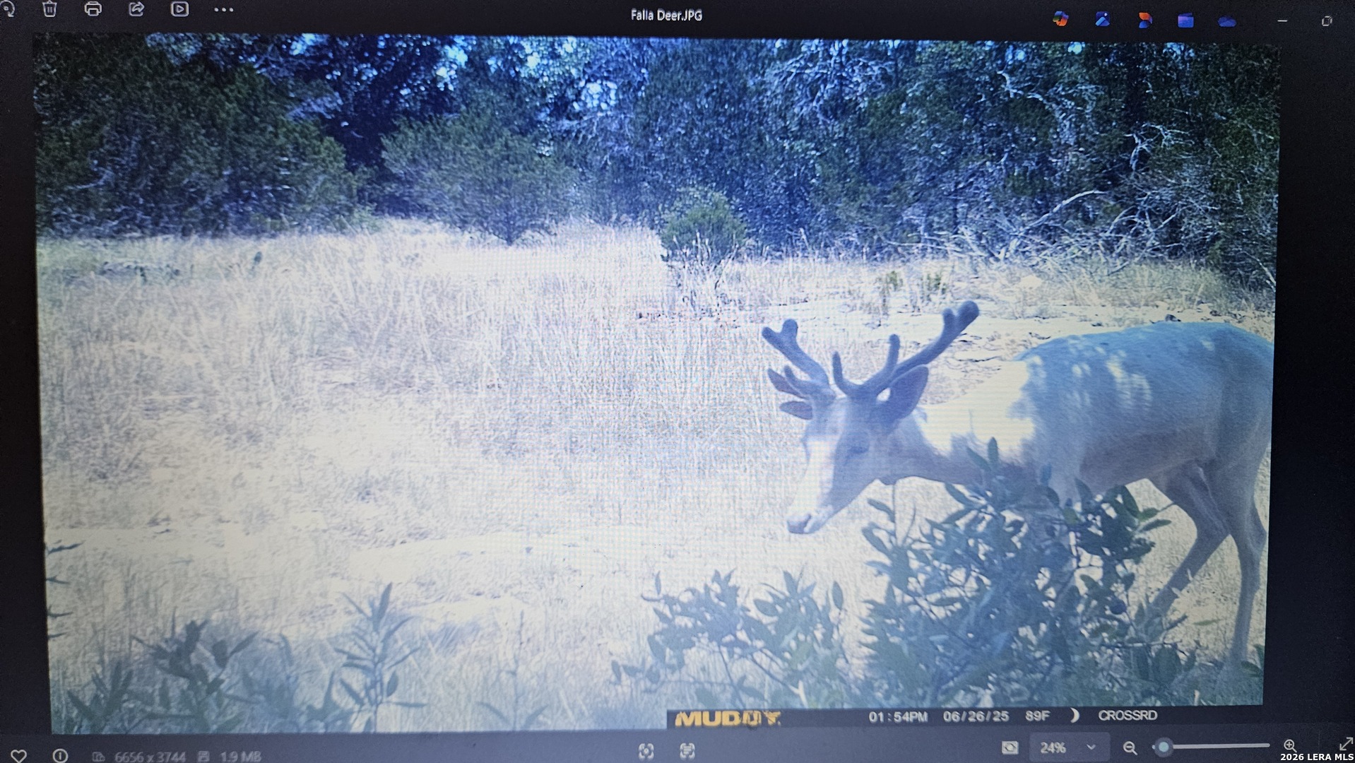 11695 County Road 350 Barksdale TX 78828