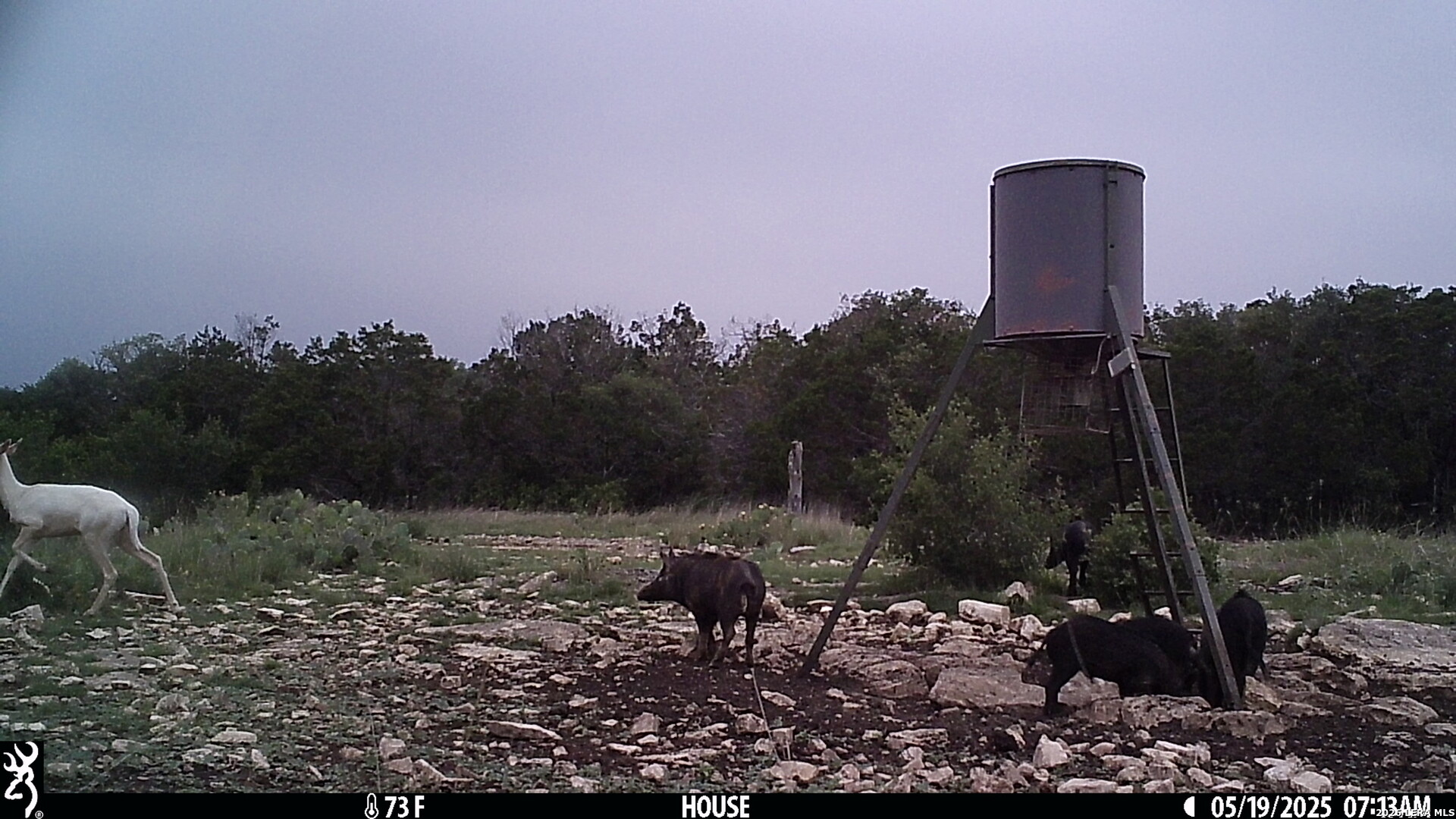11695 County Road 350 Barksdale TX 78828