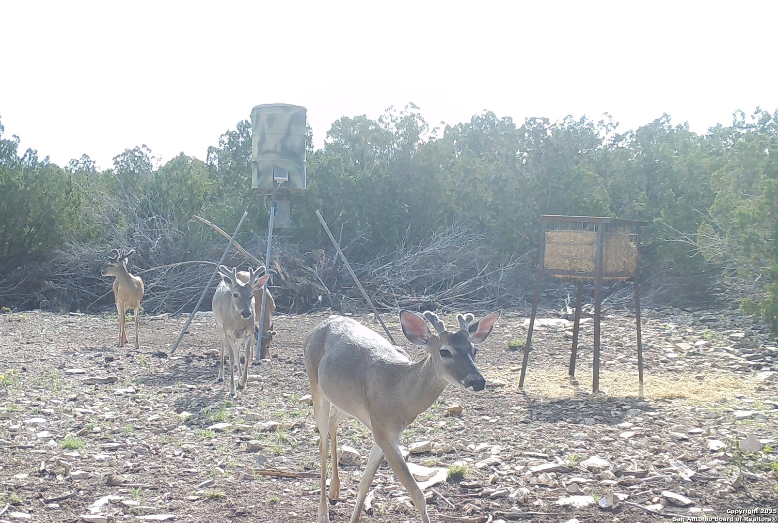 1024 Sd 63005 Rocksprings TX 78880