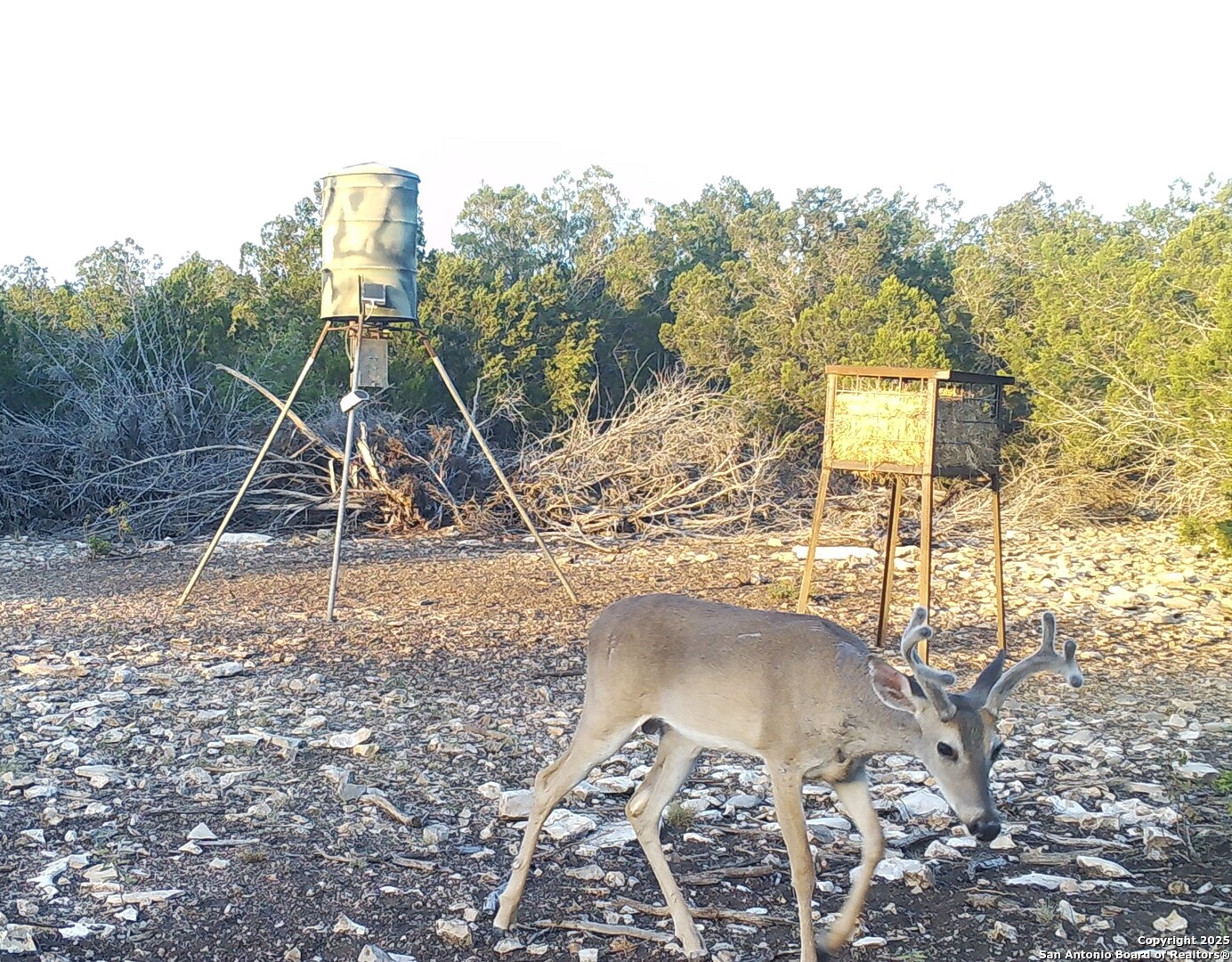 1024 Sd 63005 Rocksprings TX 78880
