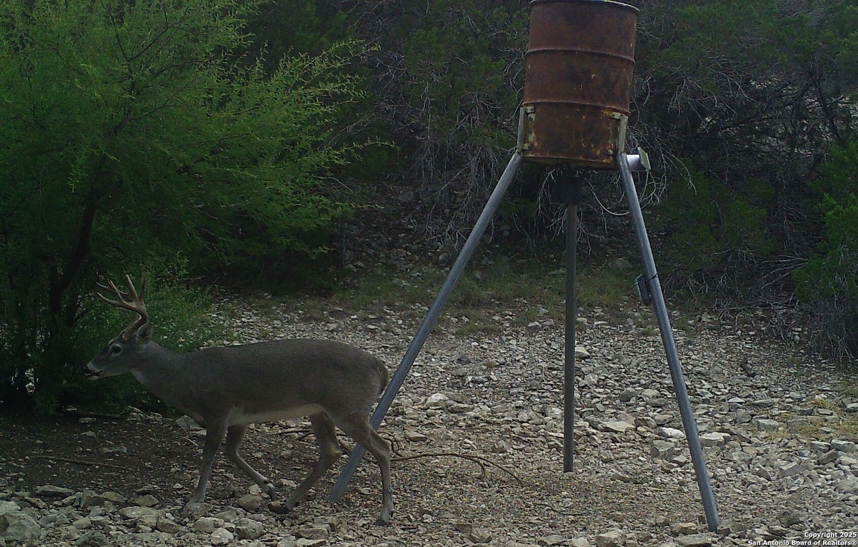 1024 Sd 63005 Rocksprings TX 78880