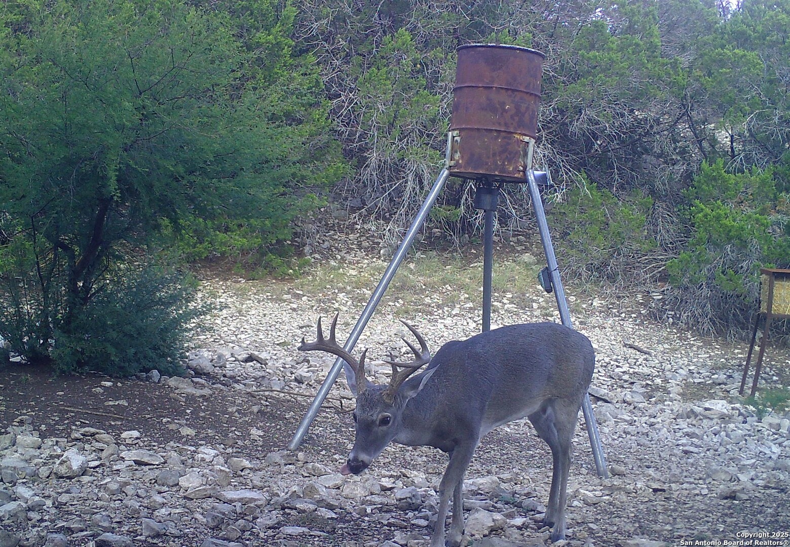 1024 Sd 63005 Rocksprings TX 78880