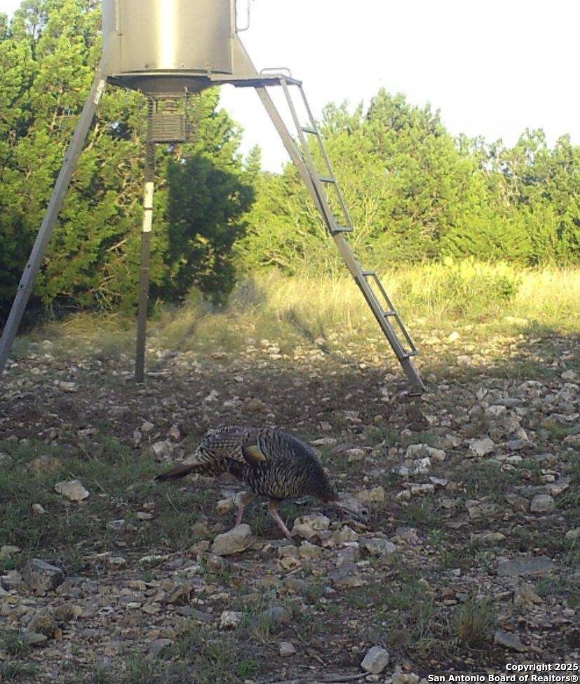 1024 Sd 63005 Rocksprings TX 78880