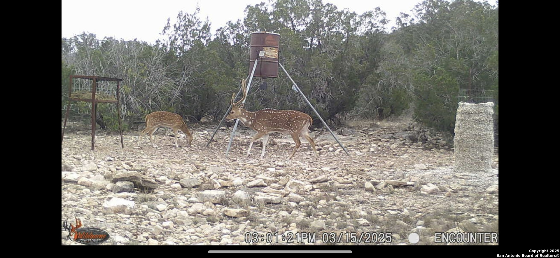 1024 Sd 63005 Rocksprings TX 78880