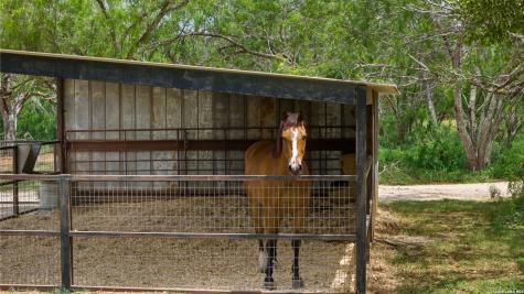 11970 New Sulphur Springs Road Adkins TX 78101