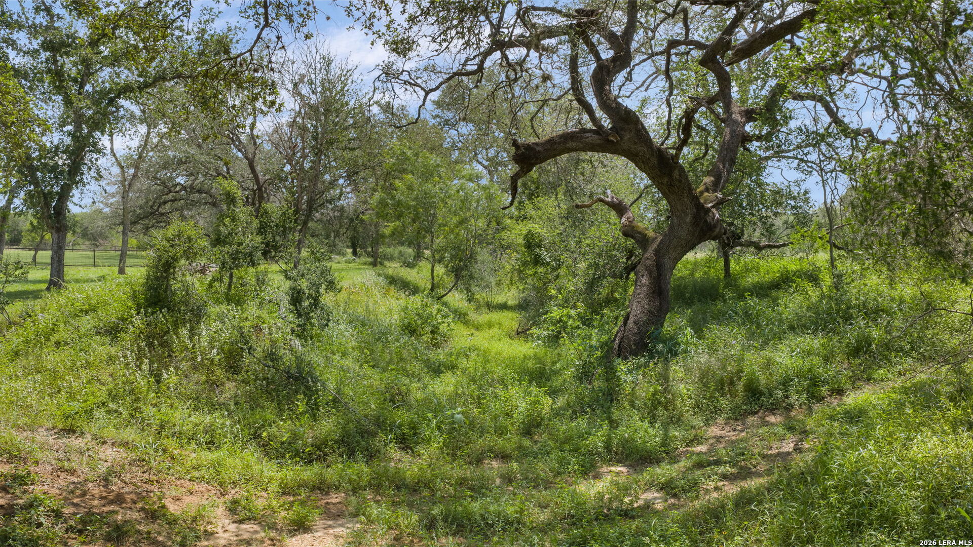 11970 New Sulphur Springs Road Adkins TX 78101