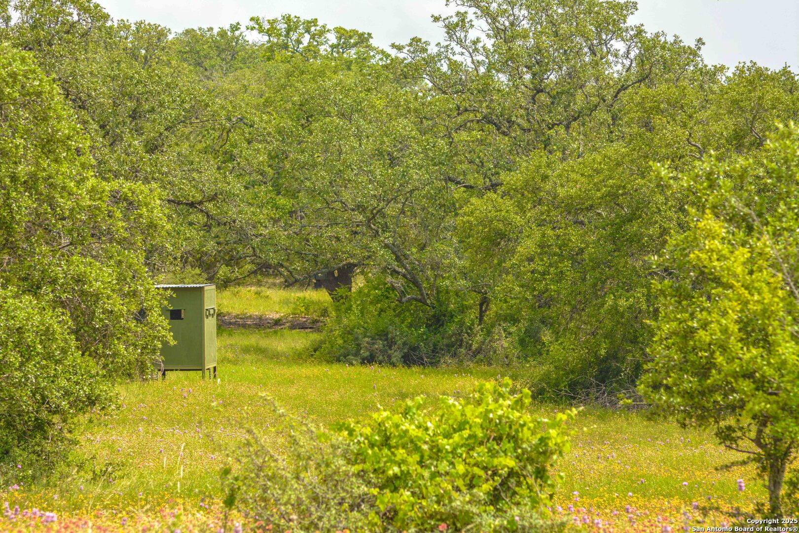 0 Highway 290 Johnson City TX 78636