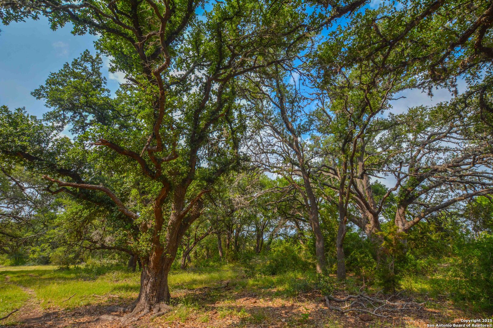 0 Highway 290 Johnson City TX 78636