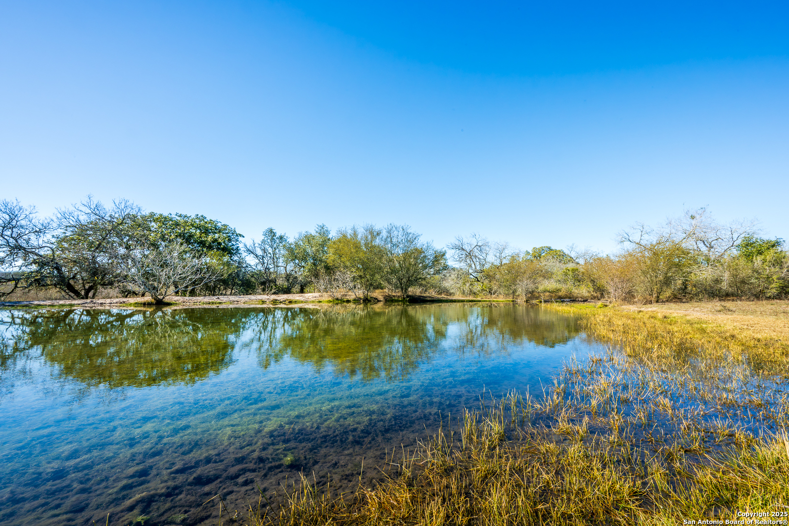 Pettus TX, Cr 113