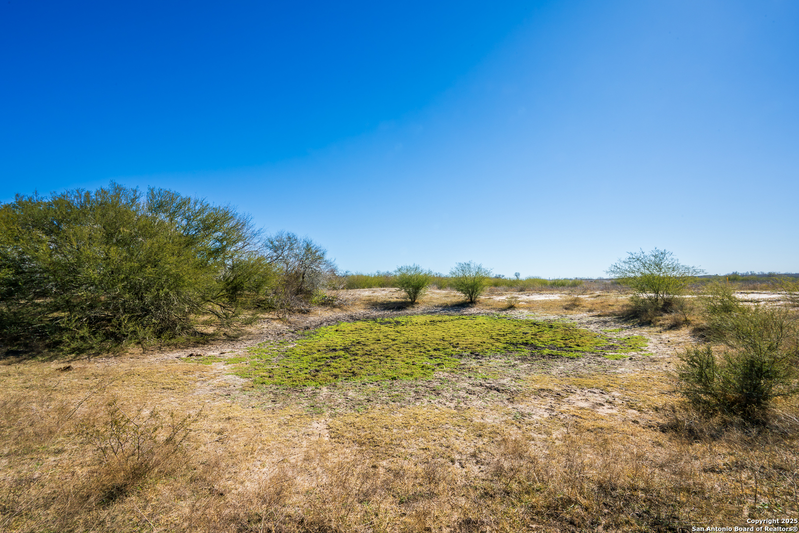 0 Cr 113 Pettus TX 78119
