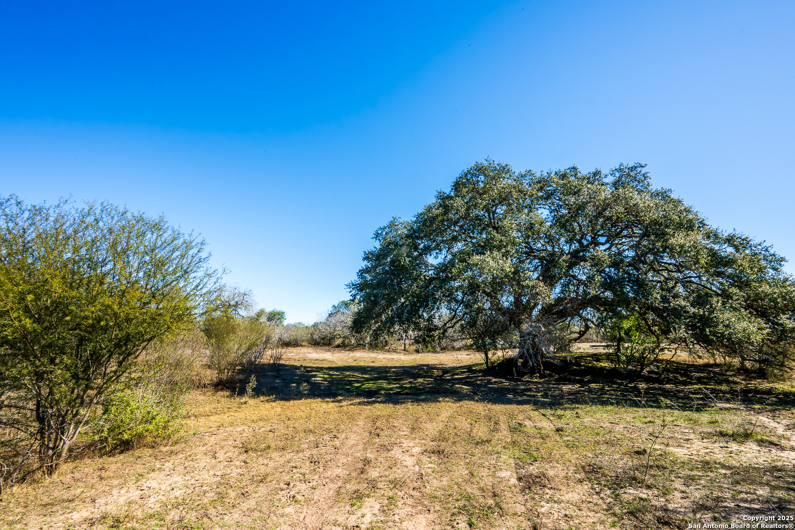 0 Cr 113 Pettus TX 78119