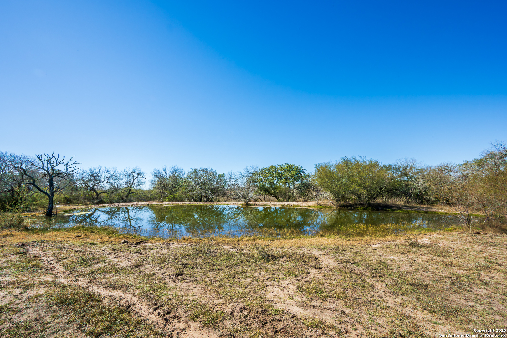 0 Cr 113 Pettus TX 78119