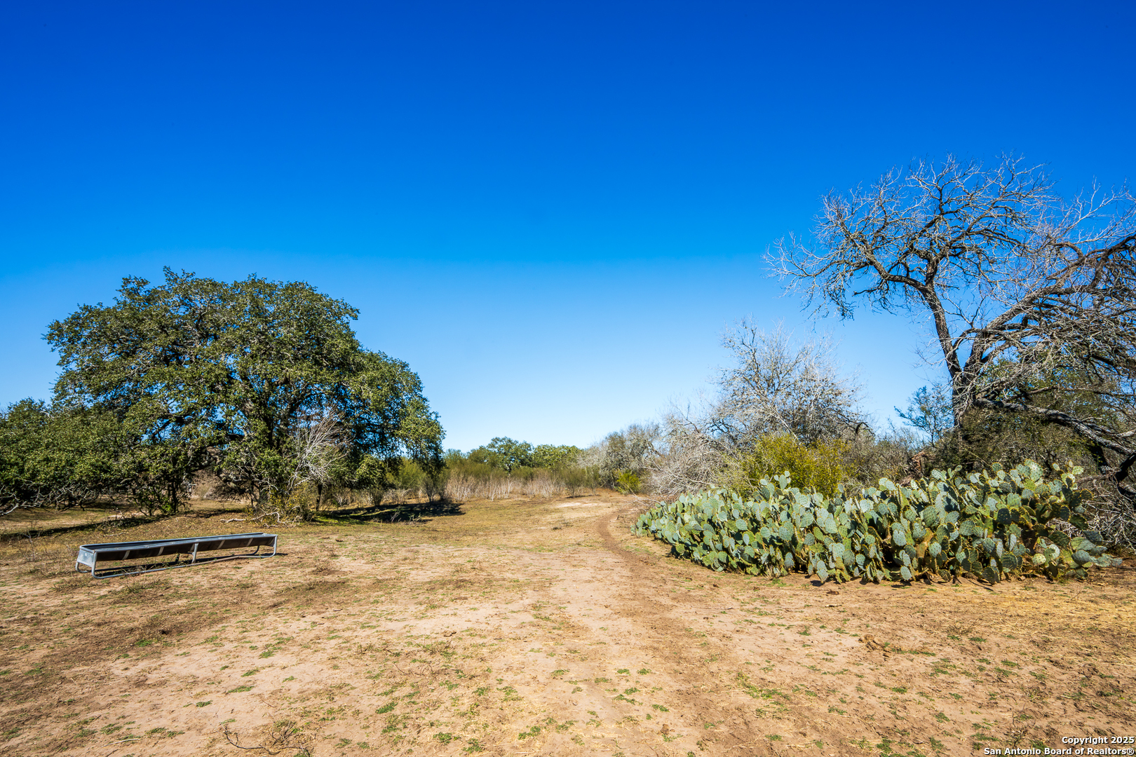 0 Cr 113 Pettus TX 78119