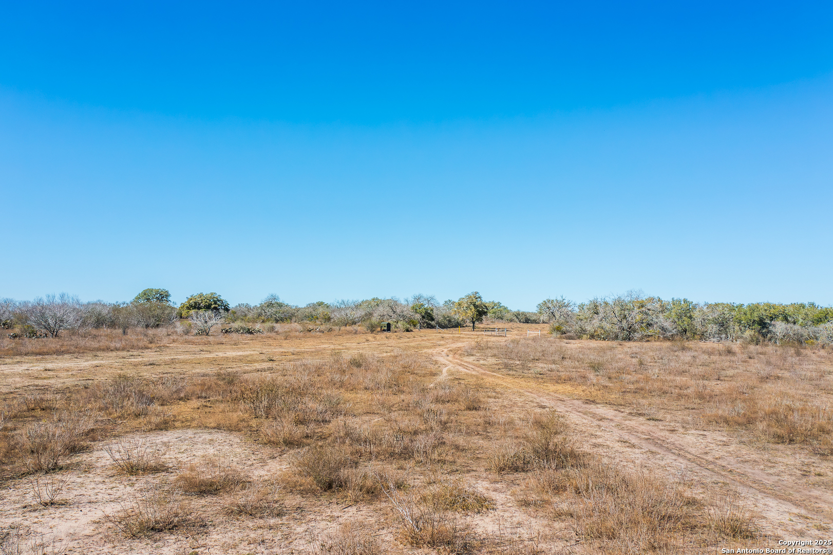 0 Cr 113 Pettus TX 78119