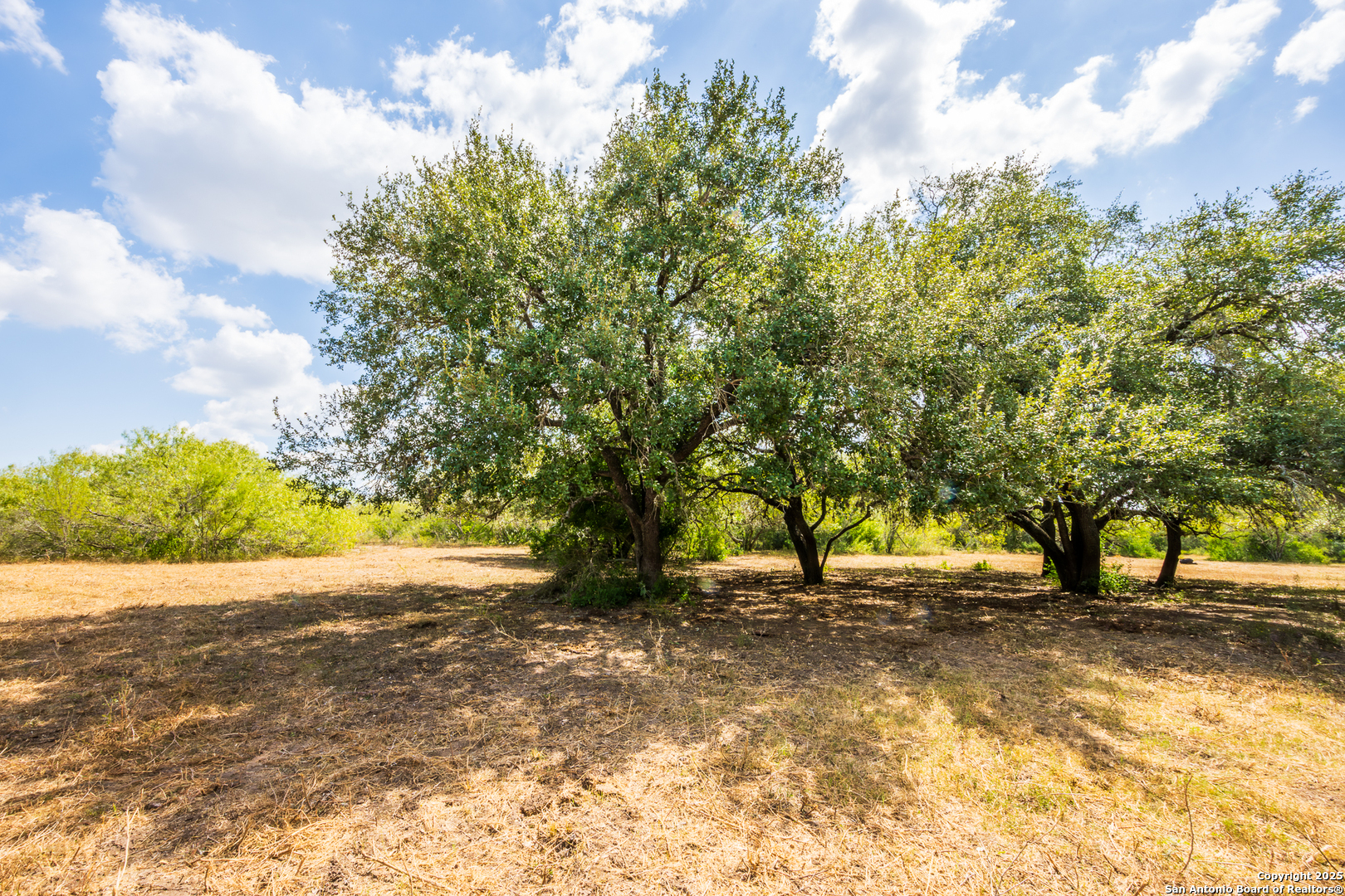 0 Cr 113 Pettus TX 78119