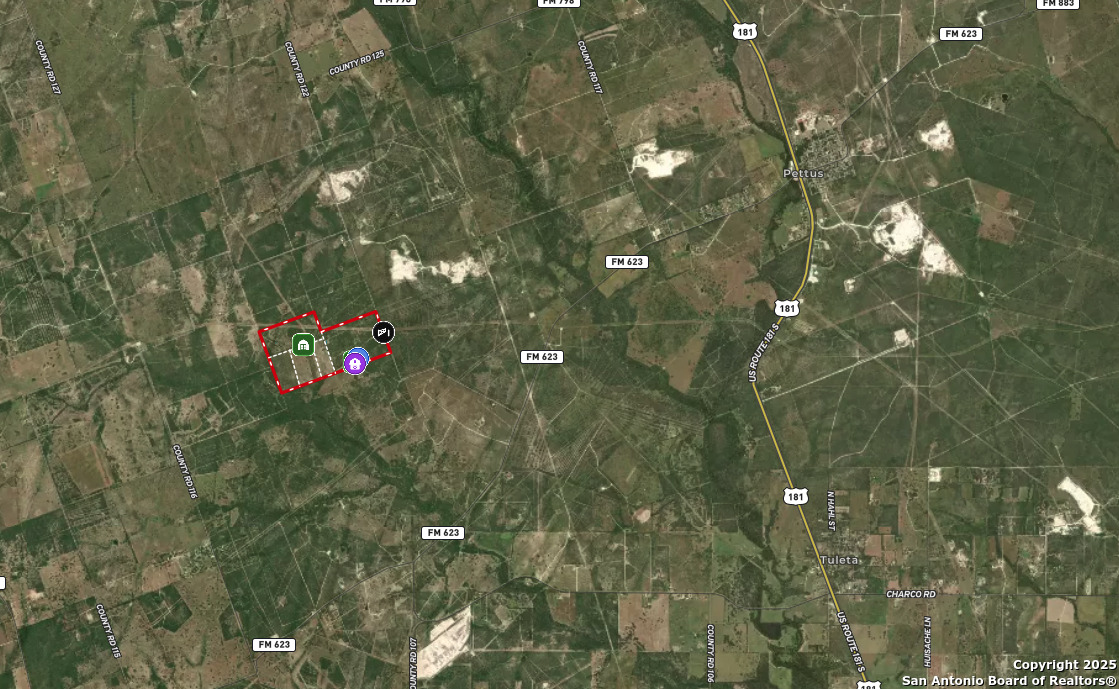 0 Cr 113 Pettus TX 78119