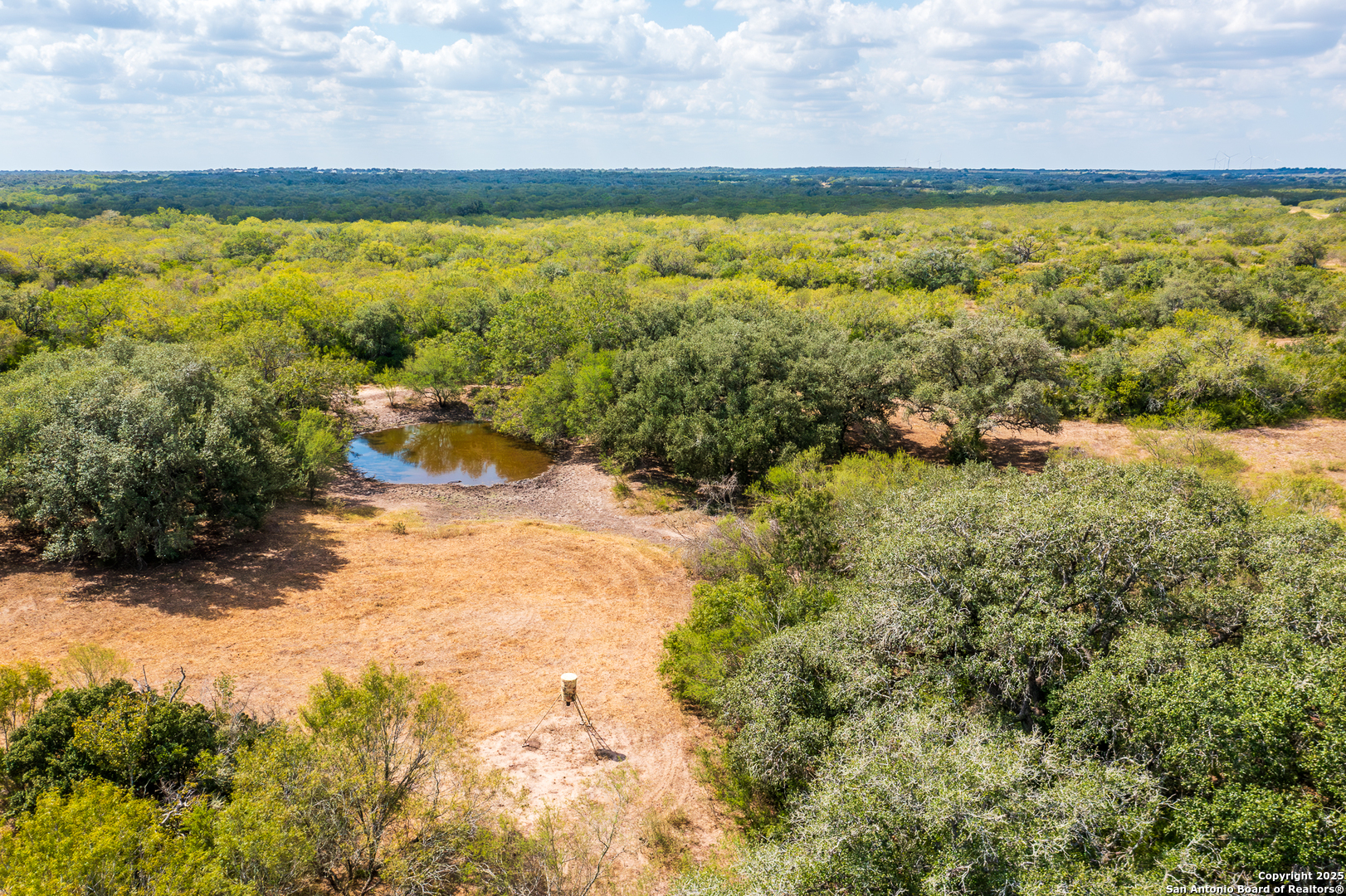 0 Cr 113 Pettus TX 78119