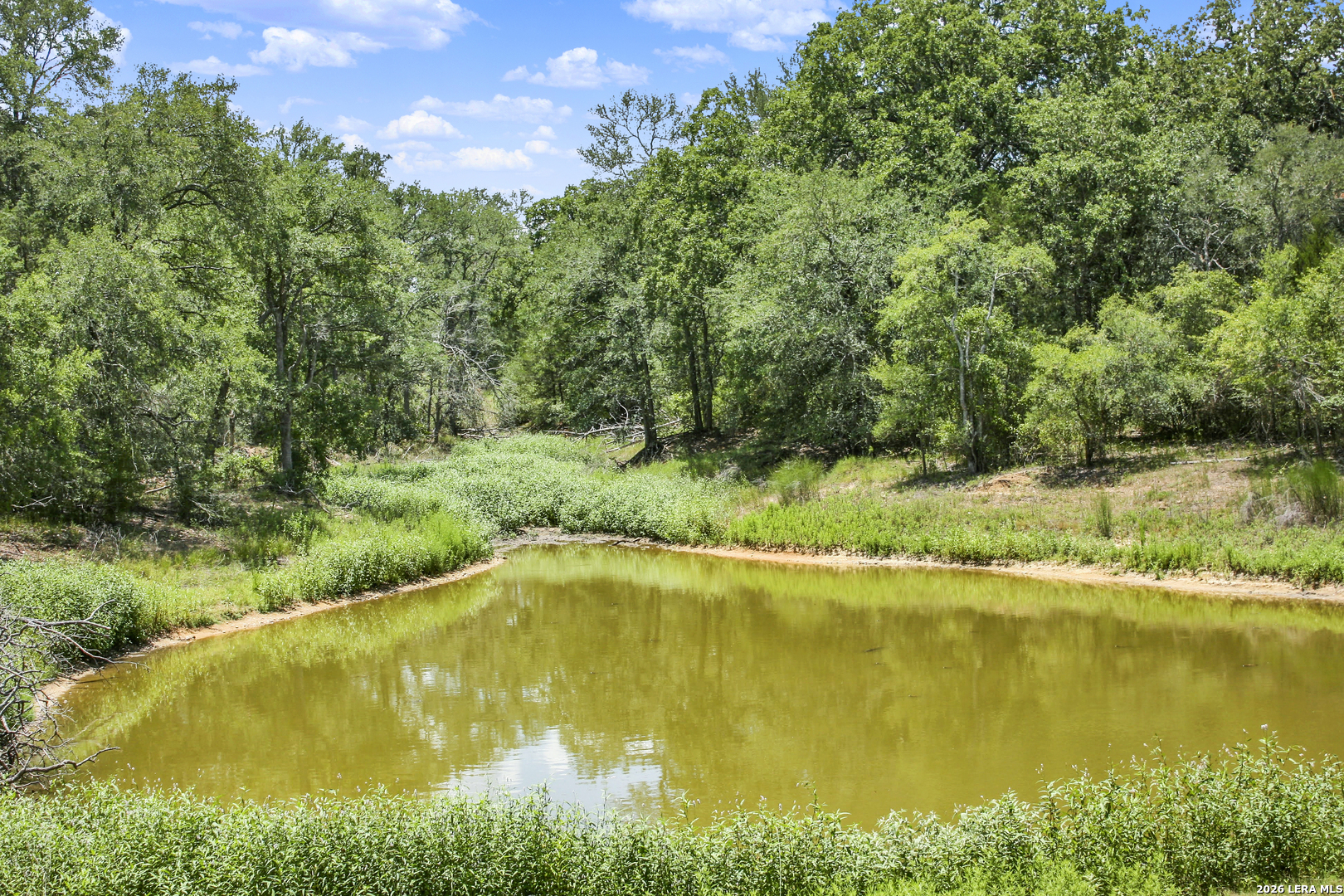 01 Whitetail Drive Cedar Creek TX 78612