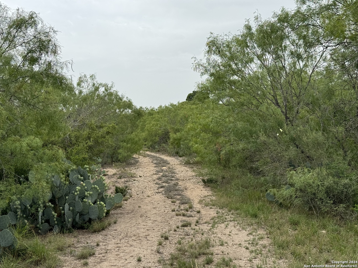 3668 W Us Highway 90 Uvalde TX 78801