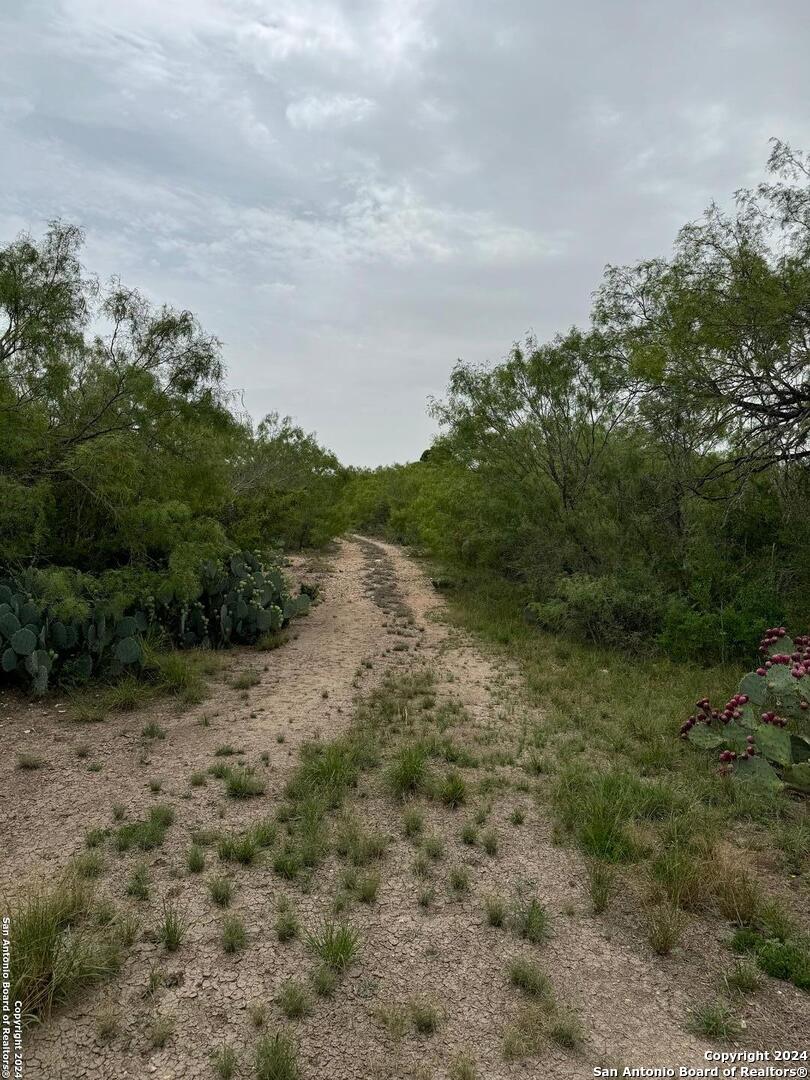 3668 W Us Highway 90 Uvalde TX 78801