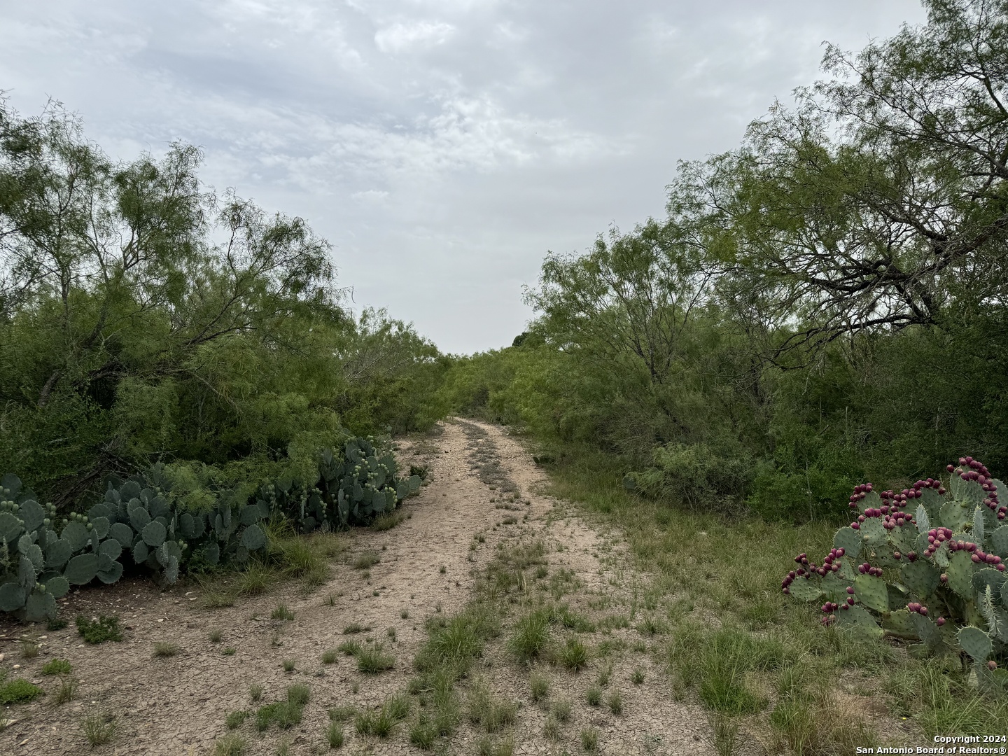 3668 W Us Highway 90 Uvalde TX 78801