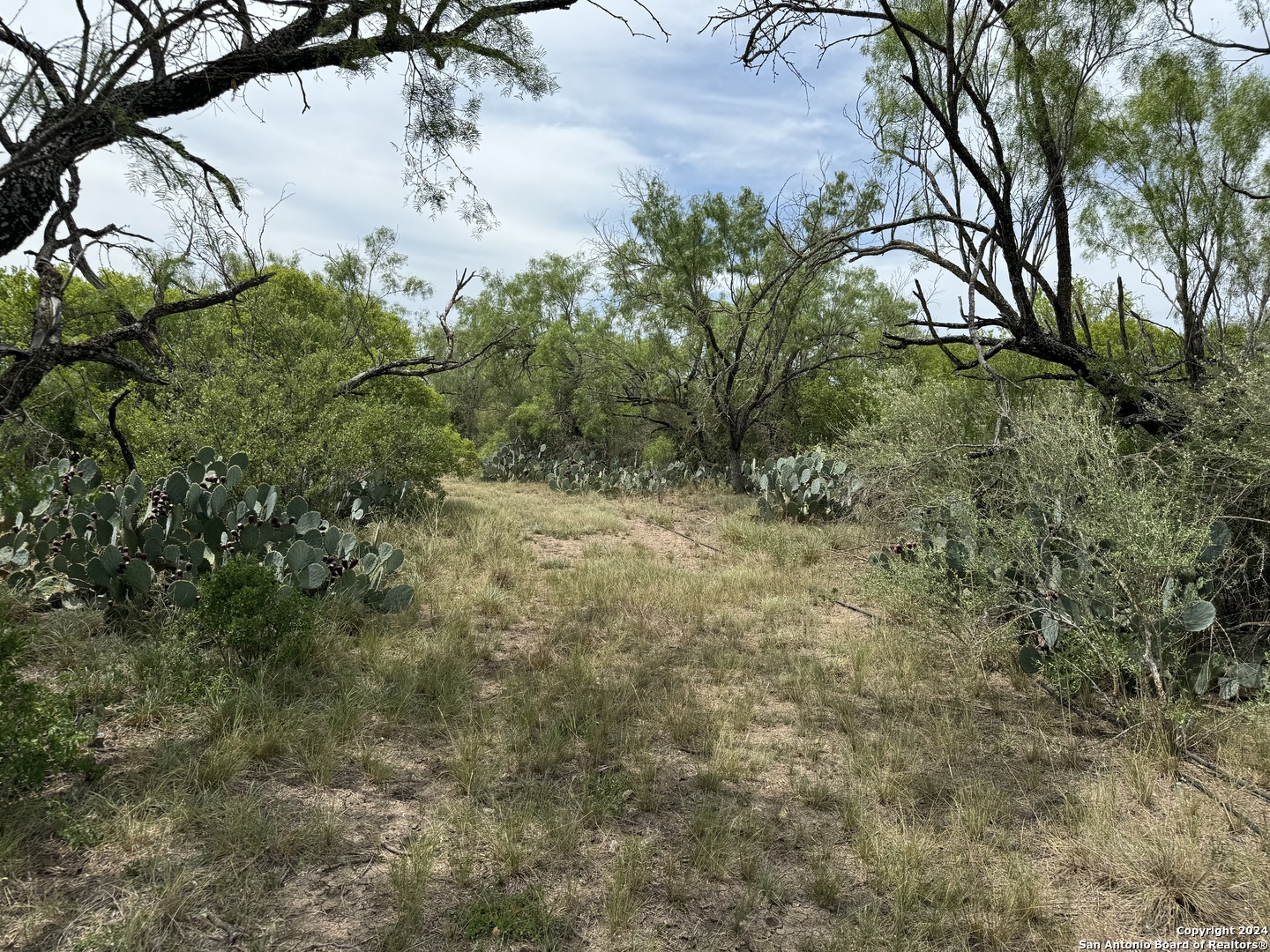 3668 W Us Highway 90 Uvalde TX 78801