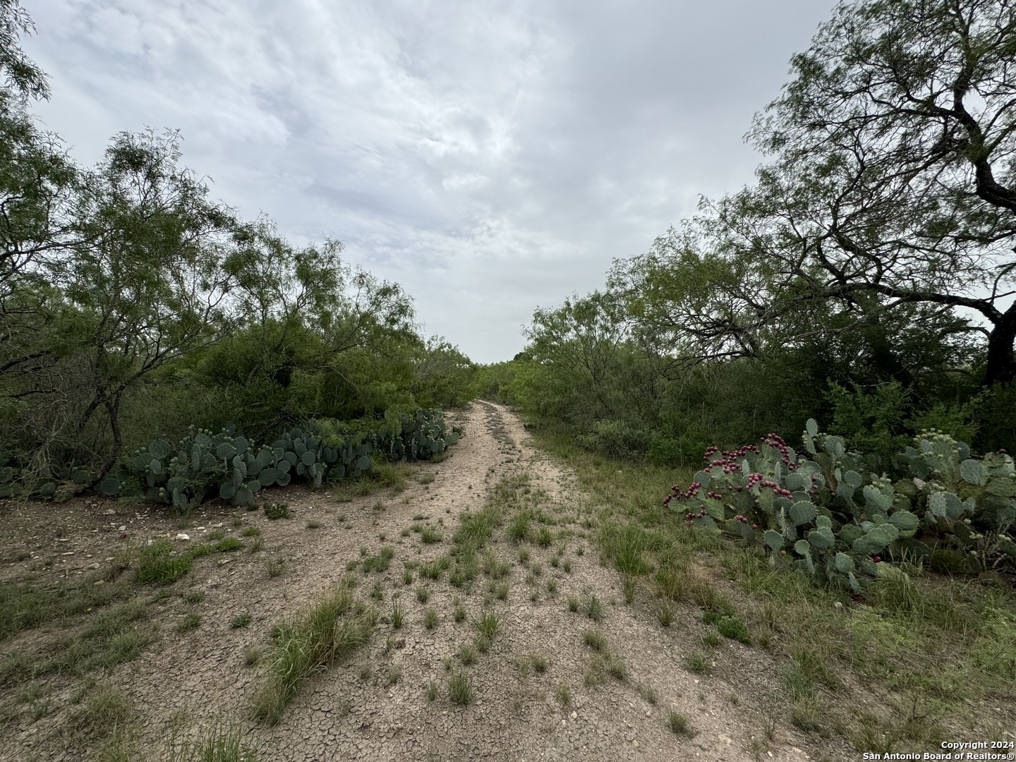 3668 W Us Highway 90 Uvalde TX 78801
