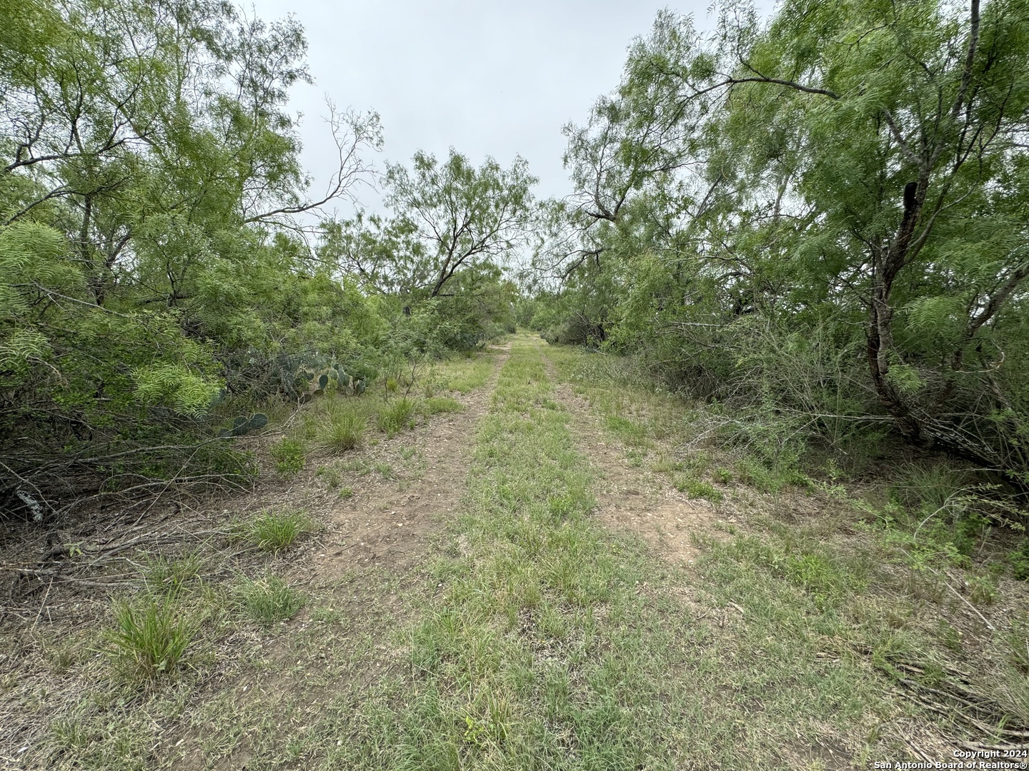 3668 W Us Highway 90 Uvalde TX 78801