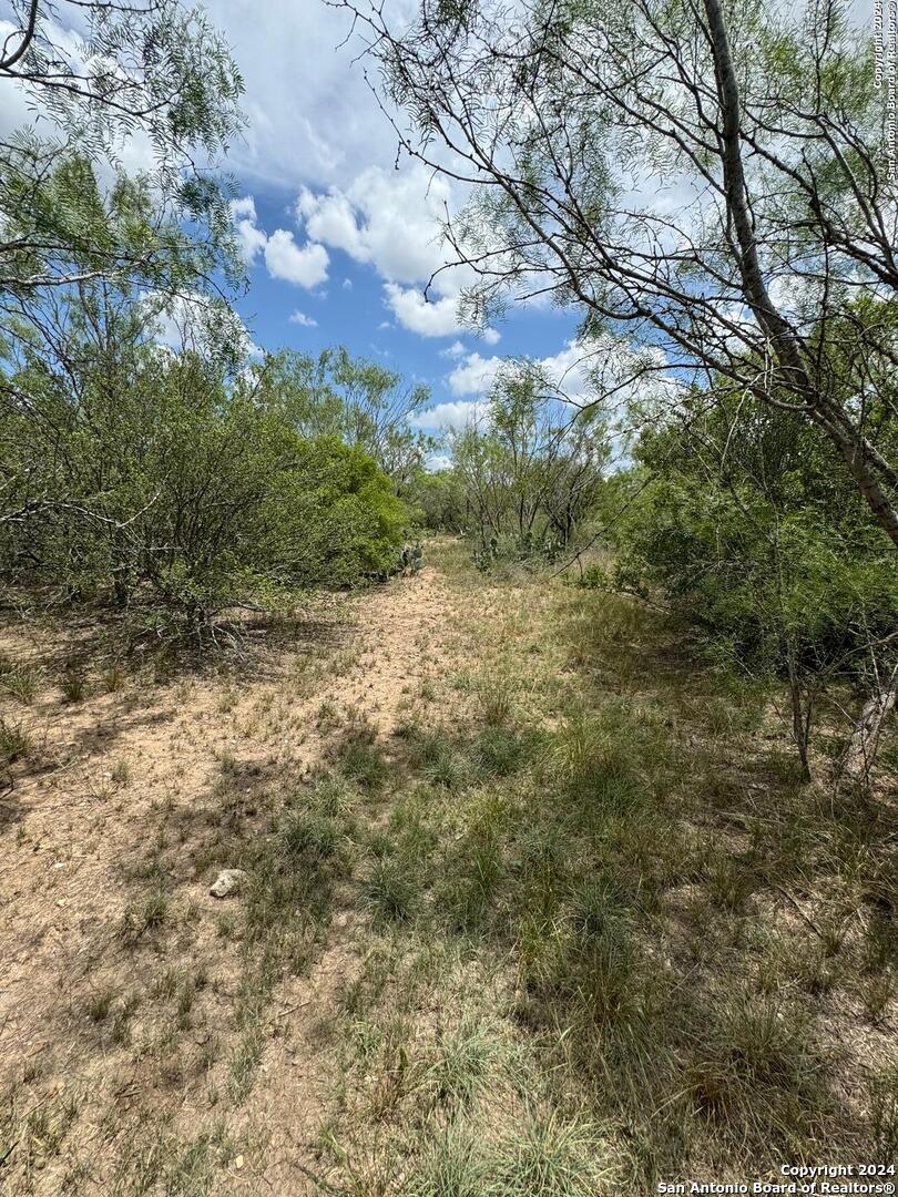 3668 W Us Highway 90 Uvalde TX 78801