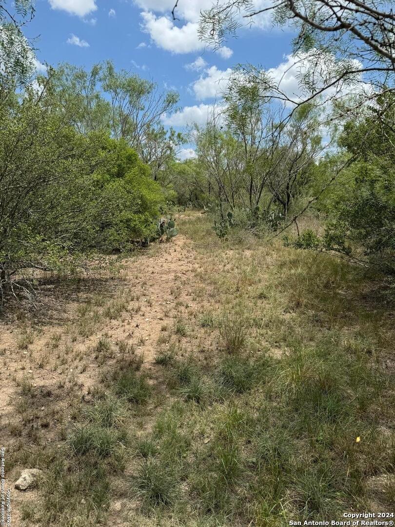 3668 W Us Highway 90 Uvalde TX 78801