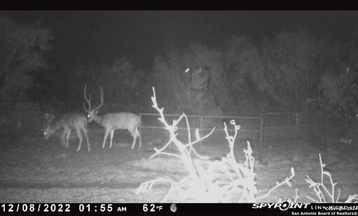 3668 W Us Highway 90 Uvalde TX 78801