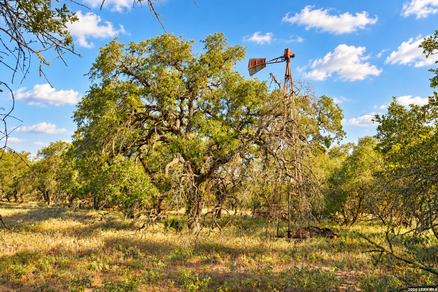 000 County Road 777 Devine TX 78016