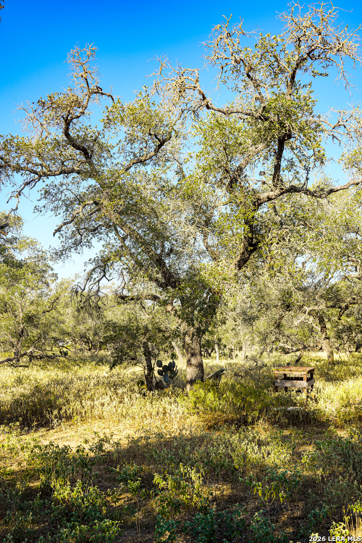 000 County Road 777 Devine TX 78016