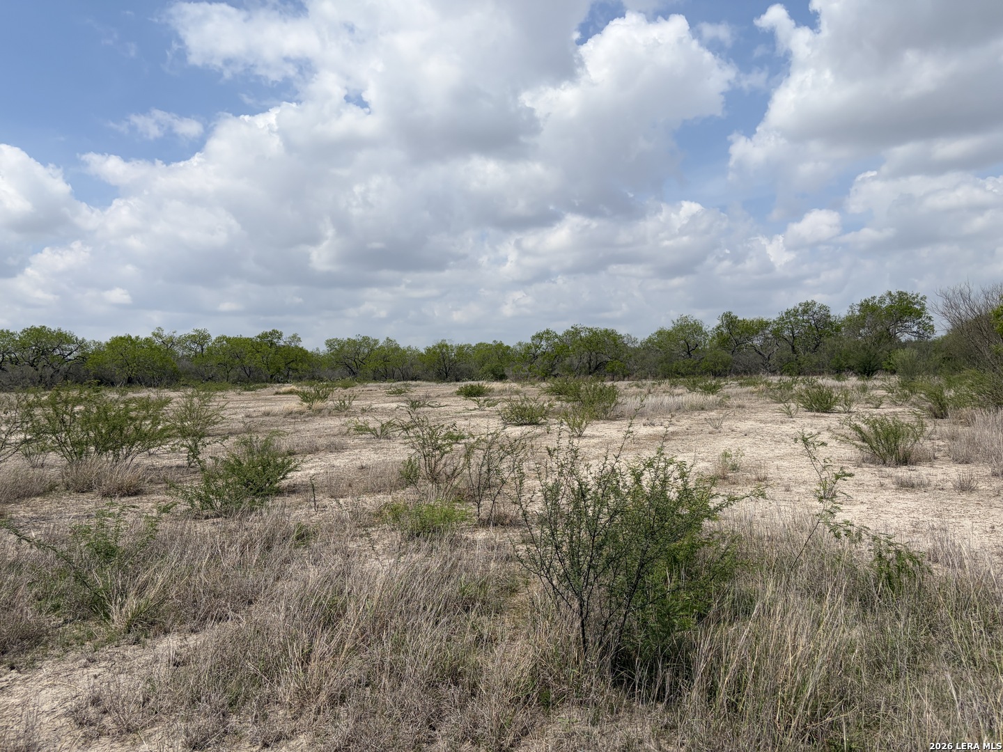0 E Fm 791 Mccoy TX 78064