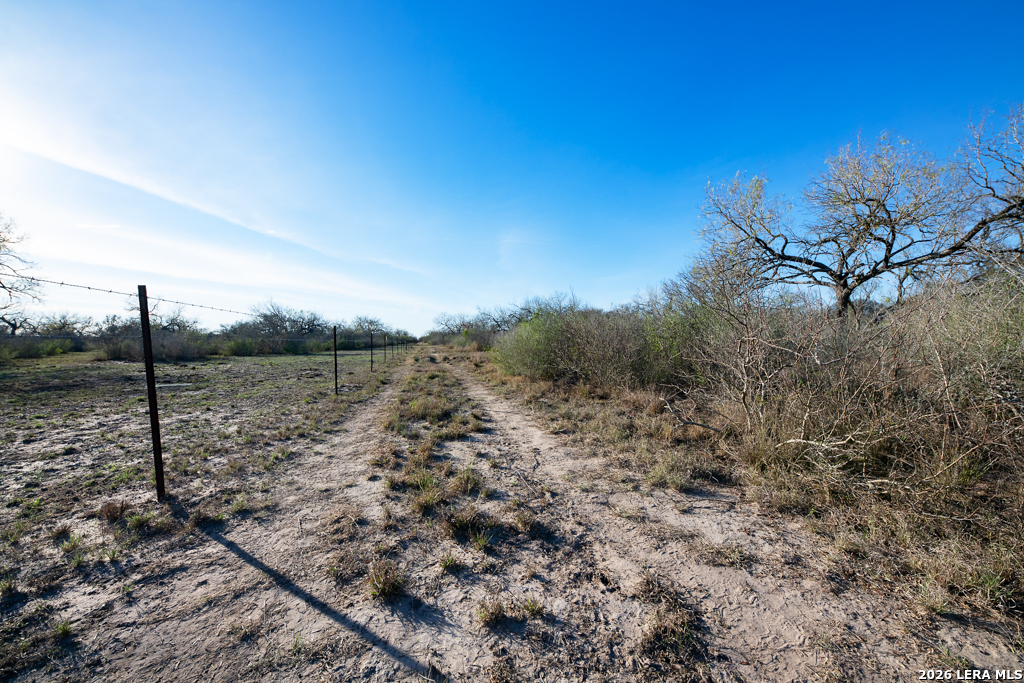 Tbd E Fm 71 Campbellton TX 78008