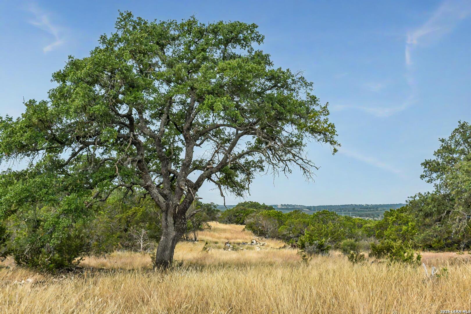 07 E Bison Way Harper TX 78631
