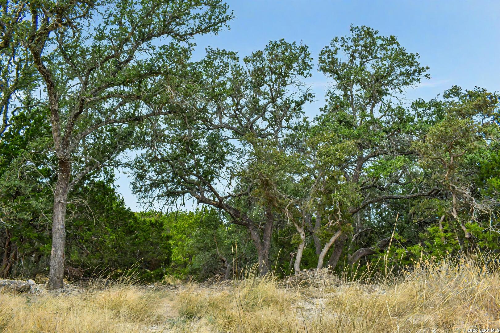 07 E Bison Way Harper TX 78631