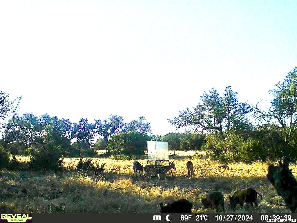 07 E Bison Way Harper TX 78631