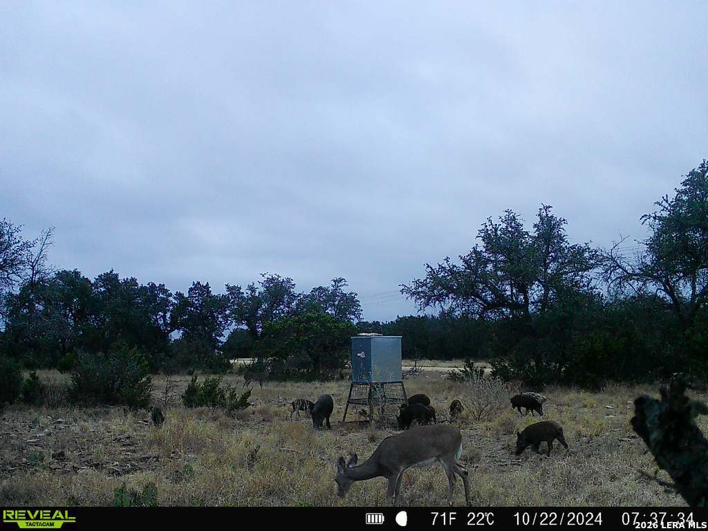 07 E Bison Way Harper TX 78631