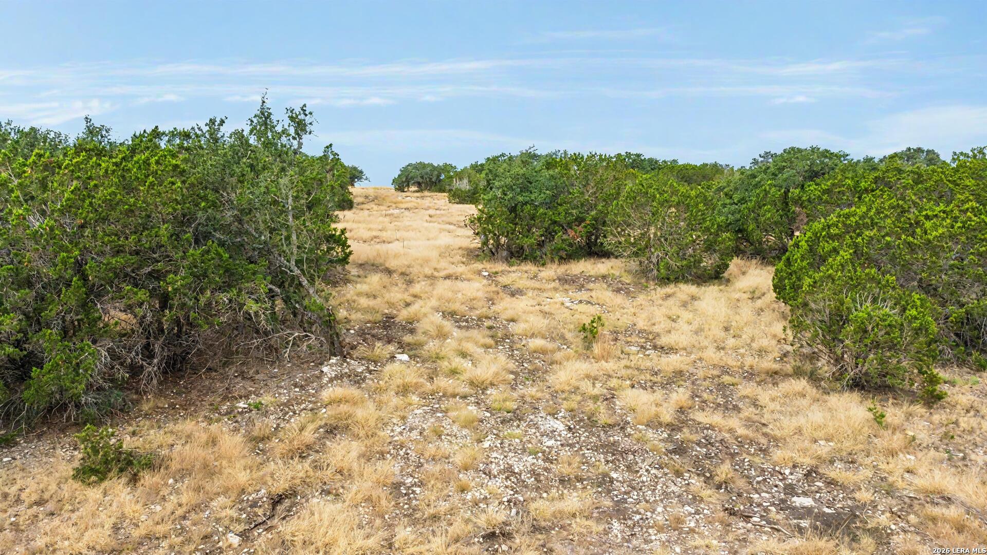 07 E Bison Way Harper TX 78631