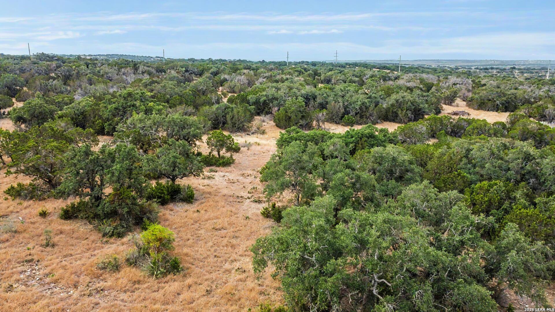 07 E Bison Way Harper TX 78631