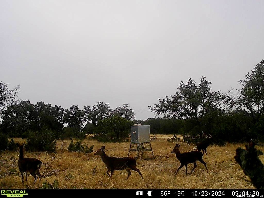 07 E Bison Way Harper TX 78631