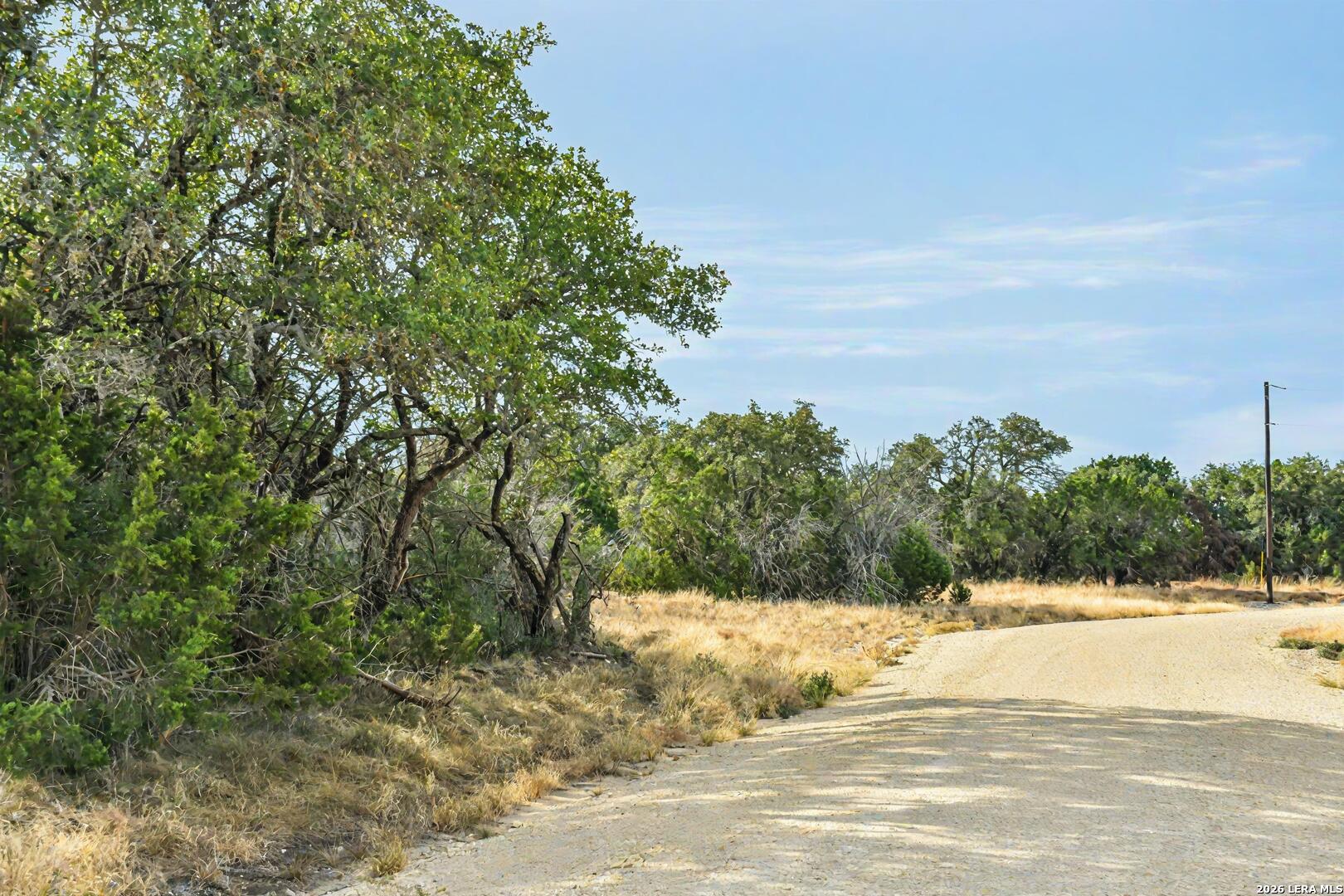 07 E Bison Way Harper TX 78631