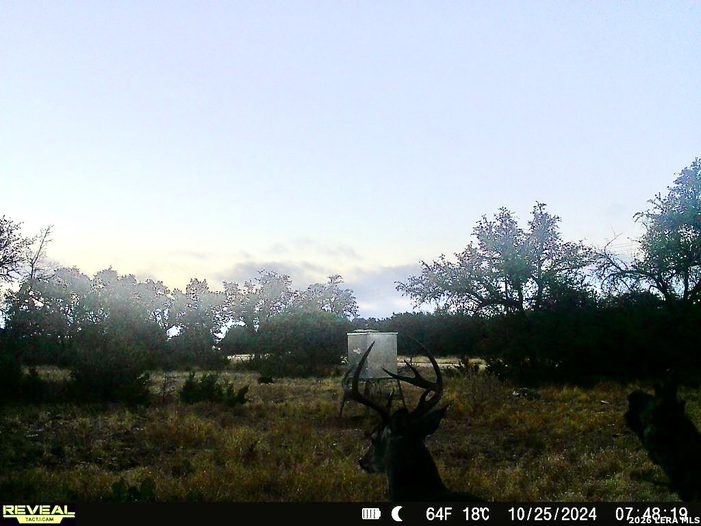 07 E Bison Way Harper TX 78631