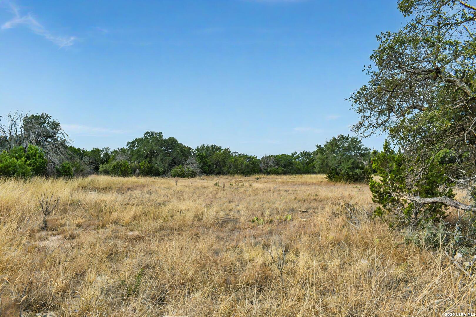 07 E Bison Way Harper TX 78631
