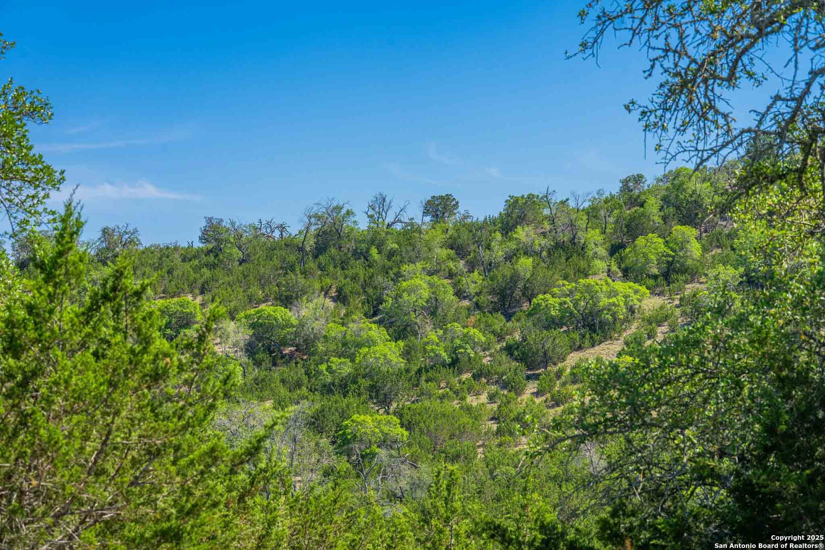 211 Mill Dam Road Comfort TX 78013