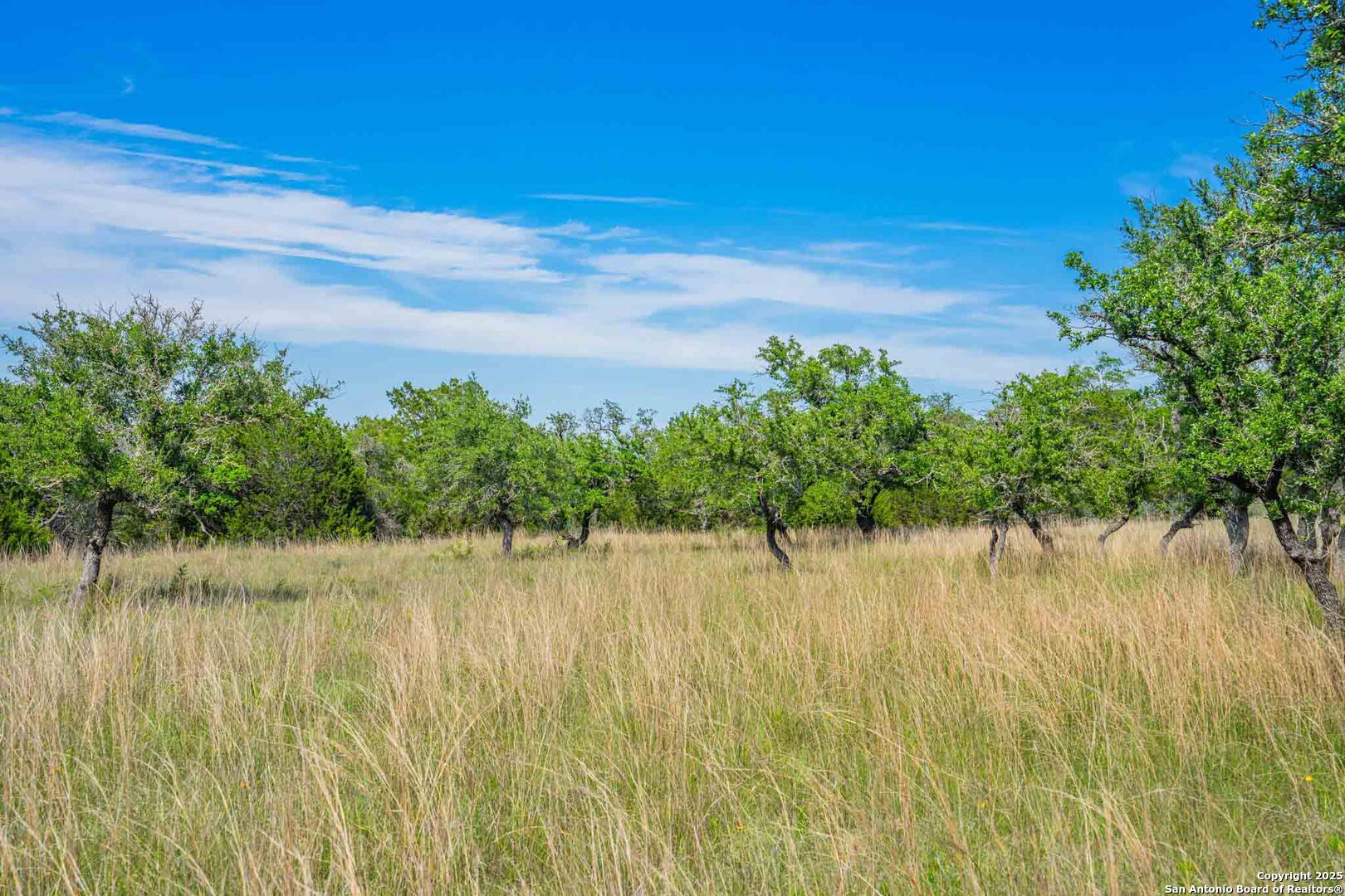 211 Mill Dam Road Comfort TX 78013